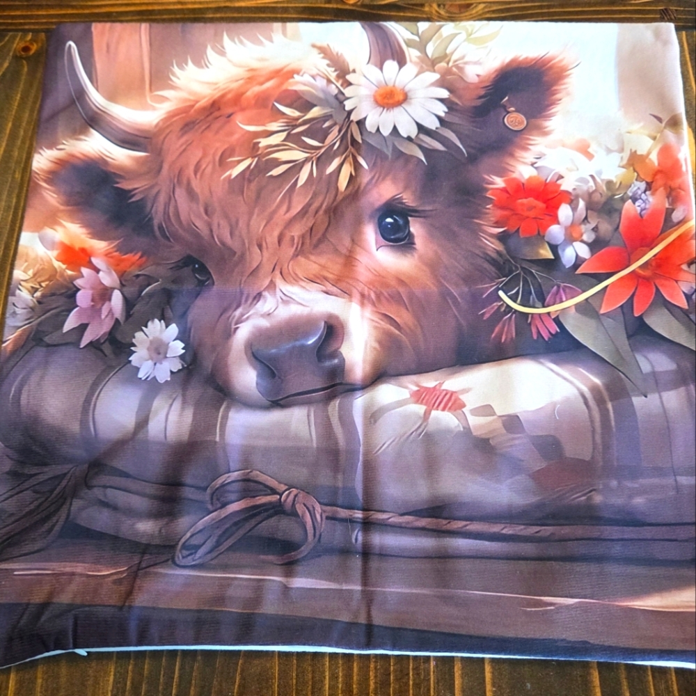 Highland Cow Pillow Covers 18x18